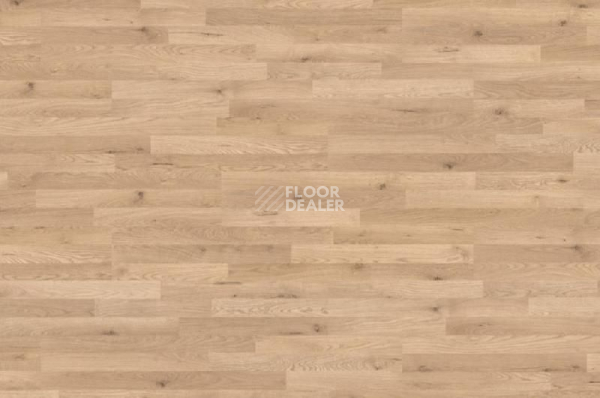 Ламинат Haro Tritty 90 ДУБ ВЫСОКОГОРНЫЙ 538855 фото 1 | FLOORDEALER